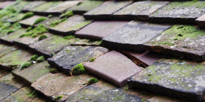 Bar Hill roof repair costs